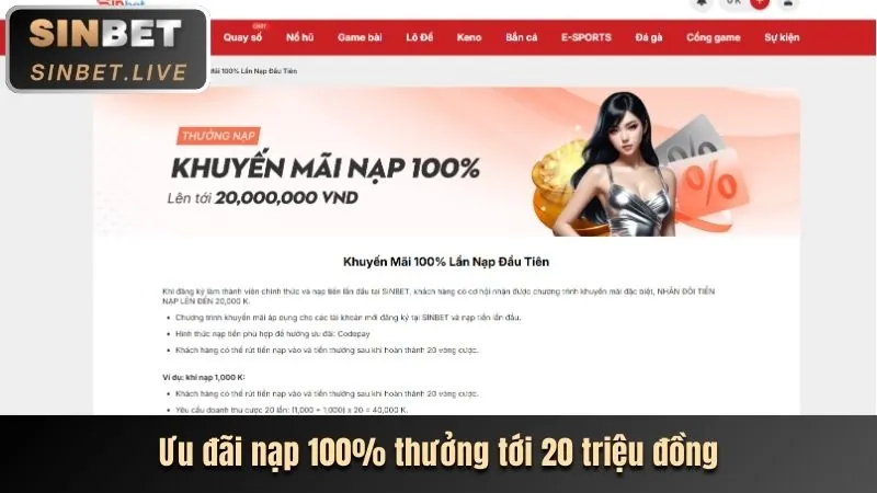 Bước 3: Xác minh và hoàn tất